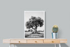 Pixalot Ancient Olive Tree