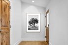 Pixalot Ancient Olive Tree