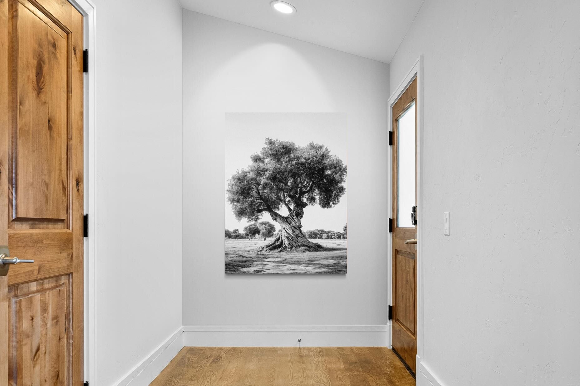 Pixalot Ancient Olive Tree