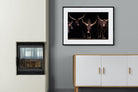 Pixalot Ankole-Watusi Herd