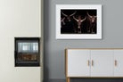 Pixalot Ankole-Watusi Herd