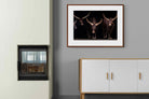 Pixalot ® Ankole-Watusi Herd