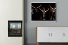 Pixalot Ankole-Watusi Herd