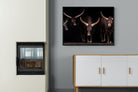 Pixalot Ankole-Watusi Herd