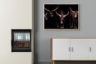 Pixalot Ankole-Watusi Herd