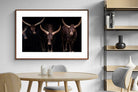 Pixalot ® Ankole-Watusi Herd