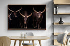Pixalot ® Ankole-Watusi Herd