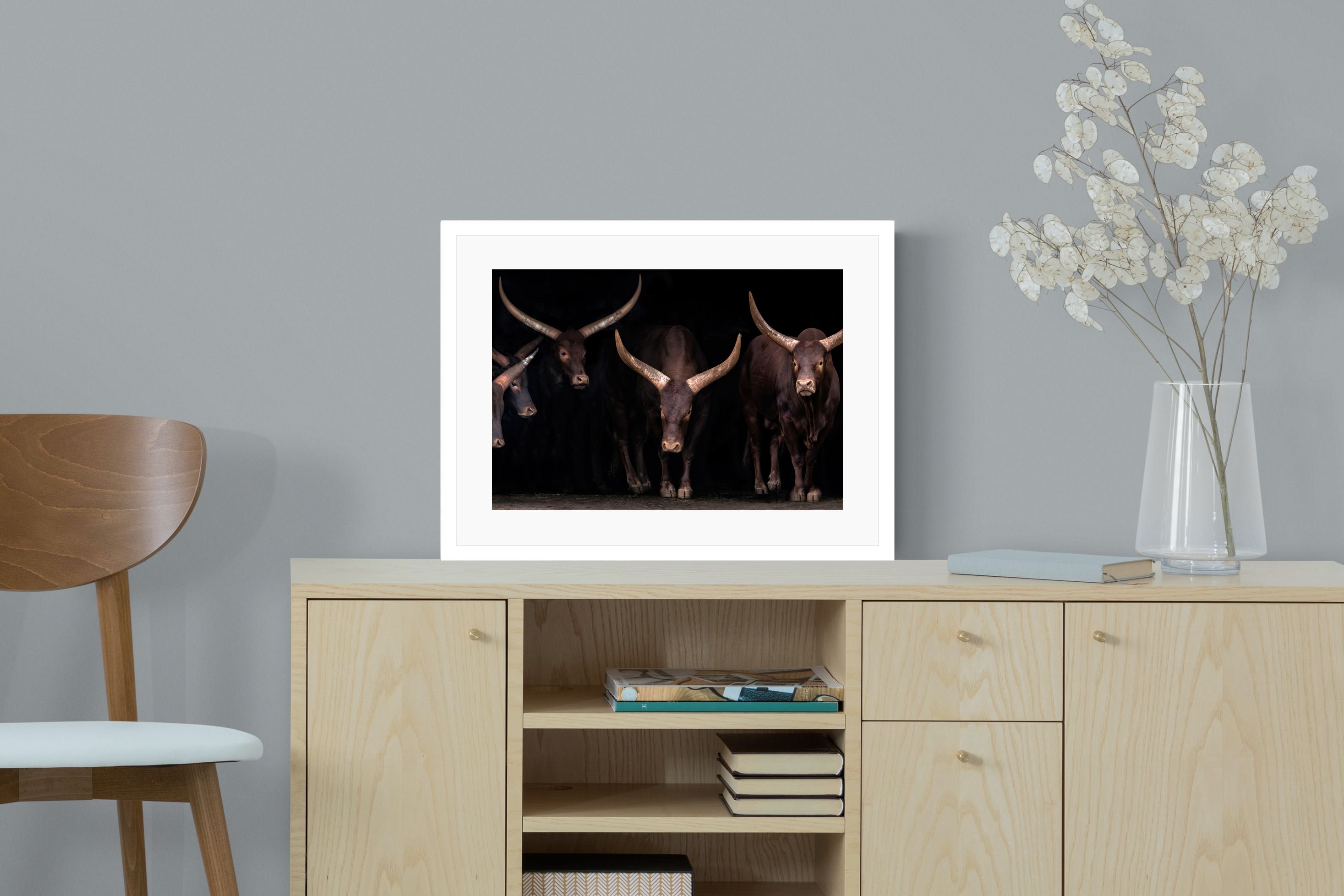Pixalot Ankole-Watusi Herd