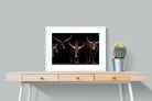 Pixalot Ankole-Watusi Herd