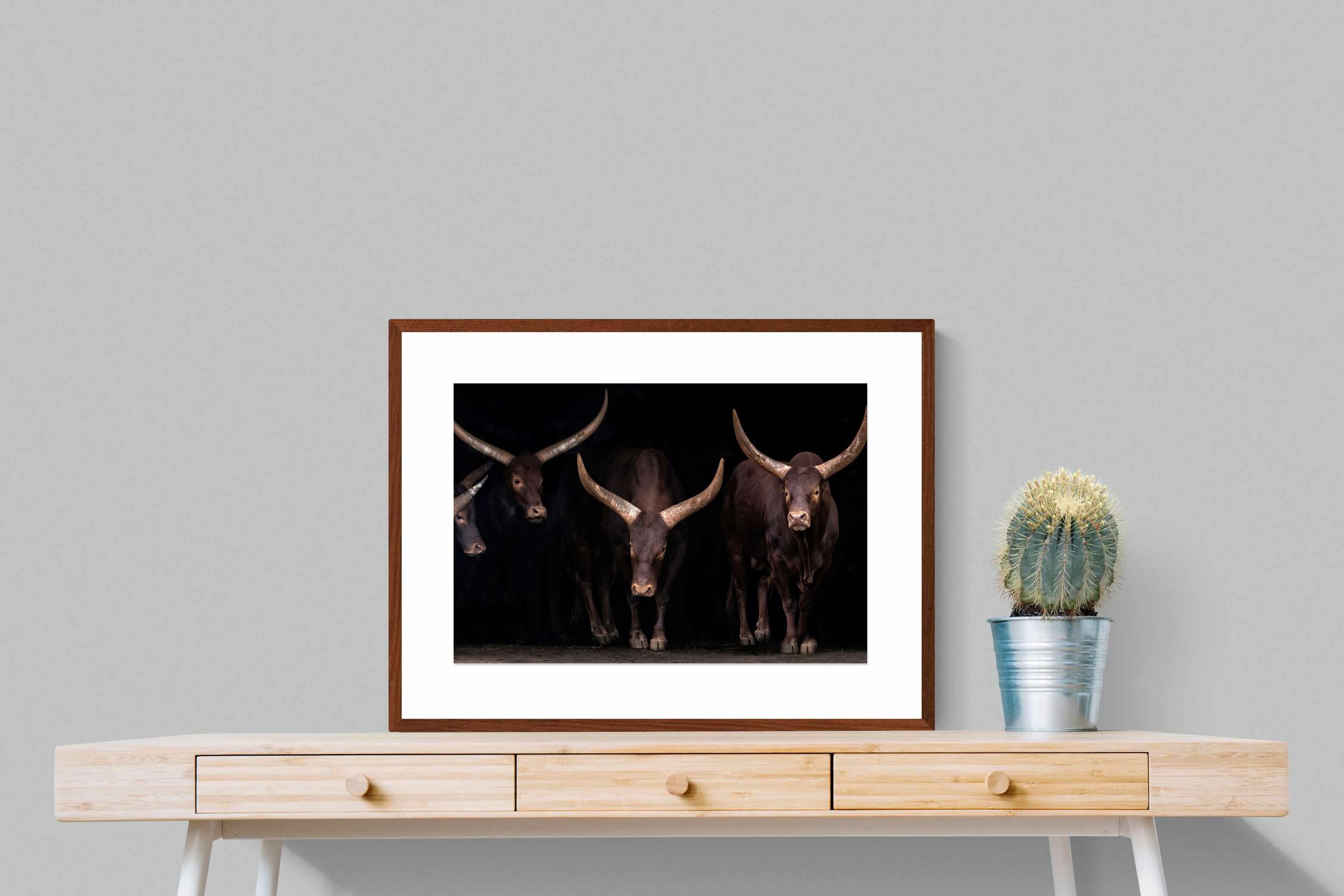 Pixalot ® Ankole-Watusi Herd