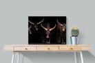 Pixalot Ankole-Watusi Herd