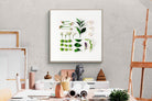 Pixalot Arrangement