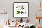 Pixalot Arrangement