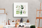 Pixalot Arrangement