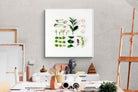 Pixalot Arrangement
