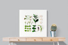 Pixalot Arrangement