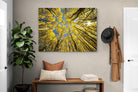 Pixalot ® Aspen Grove Sunburst