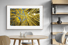 Pixalot ® Aspen Grove Sunburst