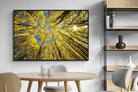 Pixalot ® Aspen Grove Sunburst