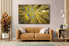 Pixalot ® Aspen Grove Sunburst