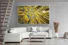 Pixalot ® Aspen Grove Sunburst