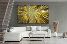 Pixalot ® Aspen Grove Sunburst