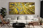 Pixalot ® Aspen Grove Sunburst