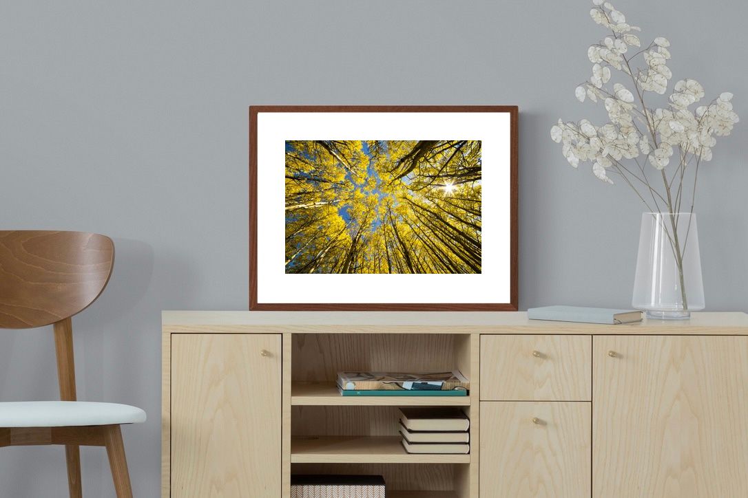 Pixalot ® Aspen Grove Sunburst
