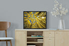 Pixalot ® Aspen Grove Sunburst