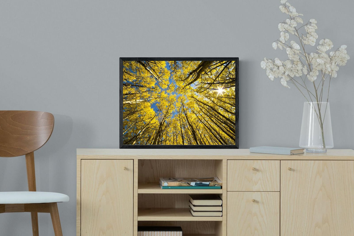 Pixalot ® Aspen Grove Sunburst