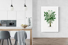 Pixalot Astrocaryum Murumuru Palm Tree Illustration