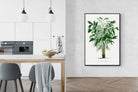 Pixalot Astrocaryum Murumuru Palm Tree Illustration