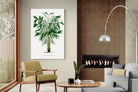 Pixalot Astrocaryum Murumuru Palm Tree Illustration