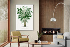 Pixalot Astrocaryum Murumuru Palm Tree Illustration