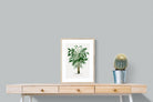 Pixalot Astrocaryum Murumuru Palm Tree Illustration