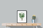 Pixalot Astrocaryum Murumuru Palm Tree Illustration
