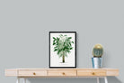 Pixalot Astrocaryum Murumuru Palm Tree Illustration