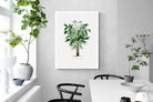 Pixalot Astrocaryum Murumuru Palm Tree Illustration