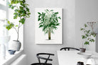 Pixalot Astrocaryum Murumuru Palm Tree Illustration