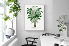 Pixalot Astrocaryum Murumuru Palm Tree Illustration