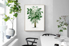 Pixalot Astrocaryum Murumuru Palm Tree Illustration