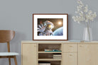 Pixalot ® Astronaut