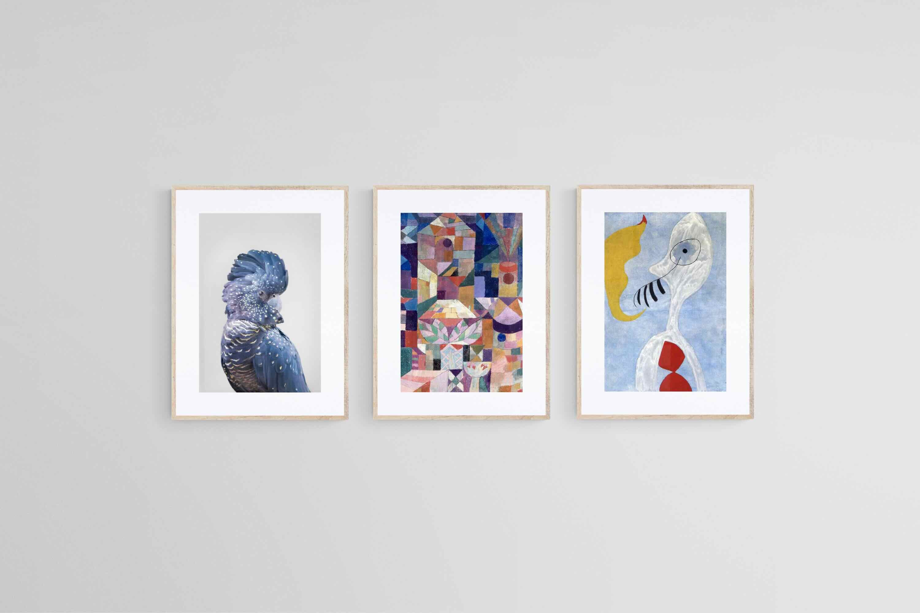 Avian to Abstract Set-Wall_Art-45 x 60cm (x3)-Framed Print-Wood-Pixalot