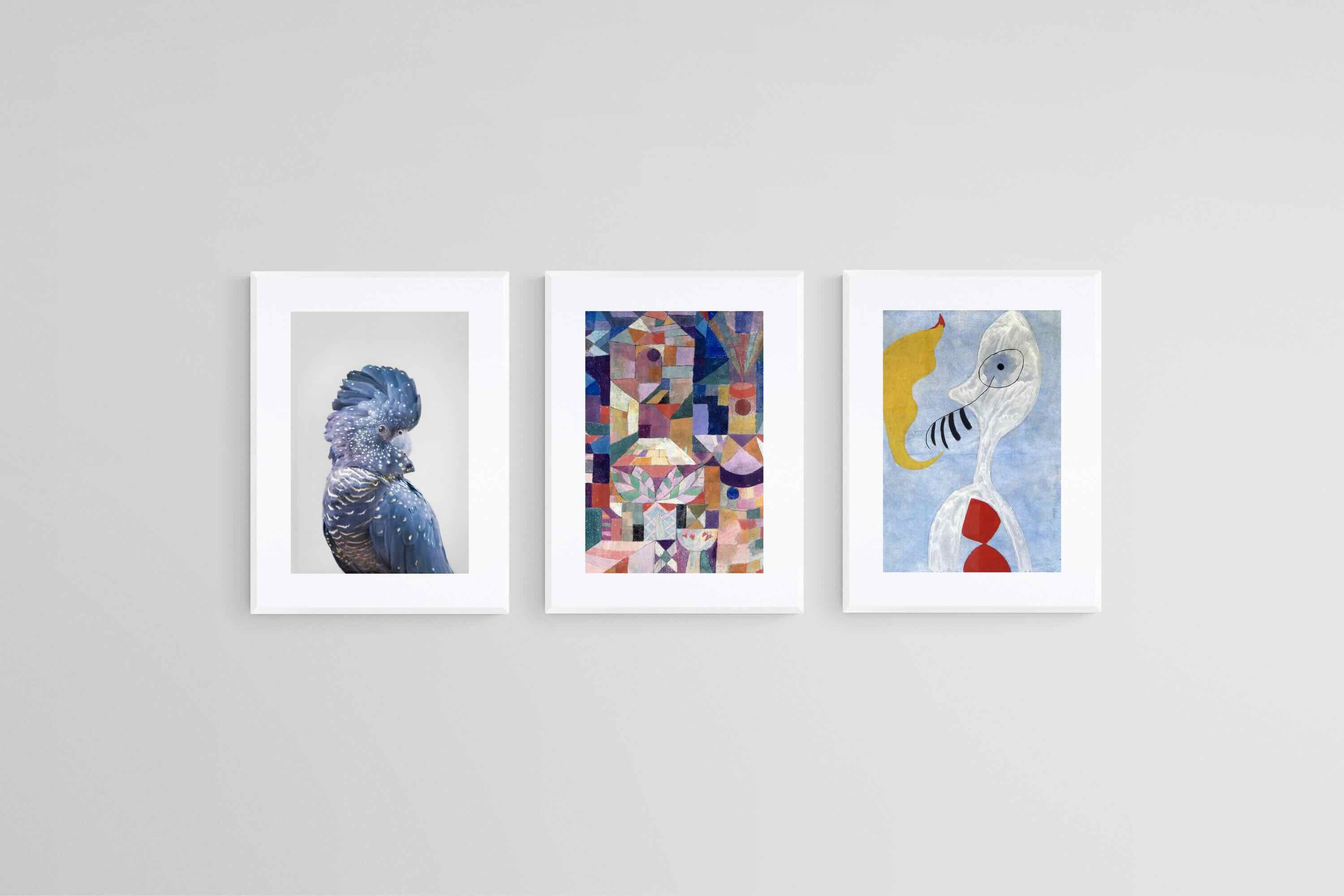 Avian to Abstract Set-Wall_Art-45 x 60cm (x3)-Framed Print-White-Pixalot