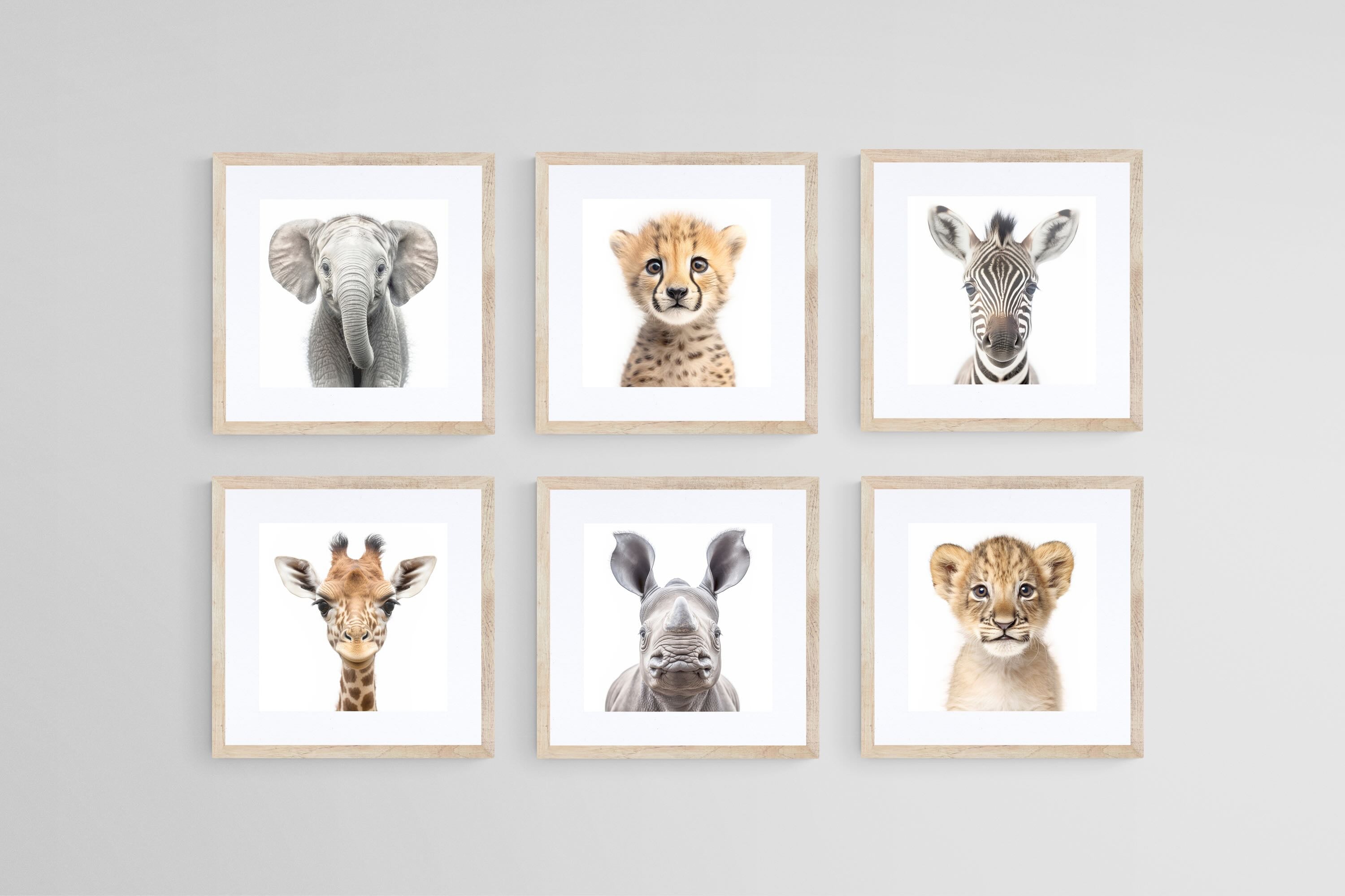 Baby Animals Set-Wall_Art-30 x 30cm (x6)-Framed Print-Wood-Pixalot