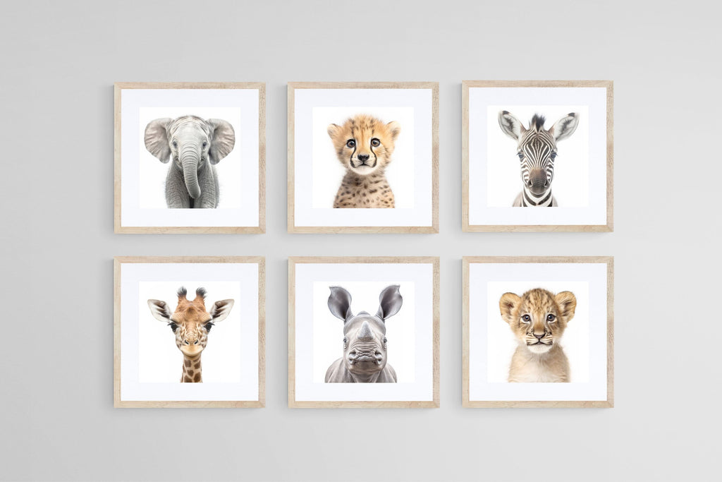 Baby Animals Set-Wall_Art-30 x 30cm (x6)-Framed Print-Wood-Pixalot