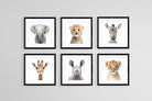 Baby Animals Set-Wall_Art-30 x 30cm (x6)-Framed Print-Black-Pixalot