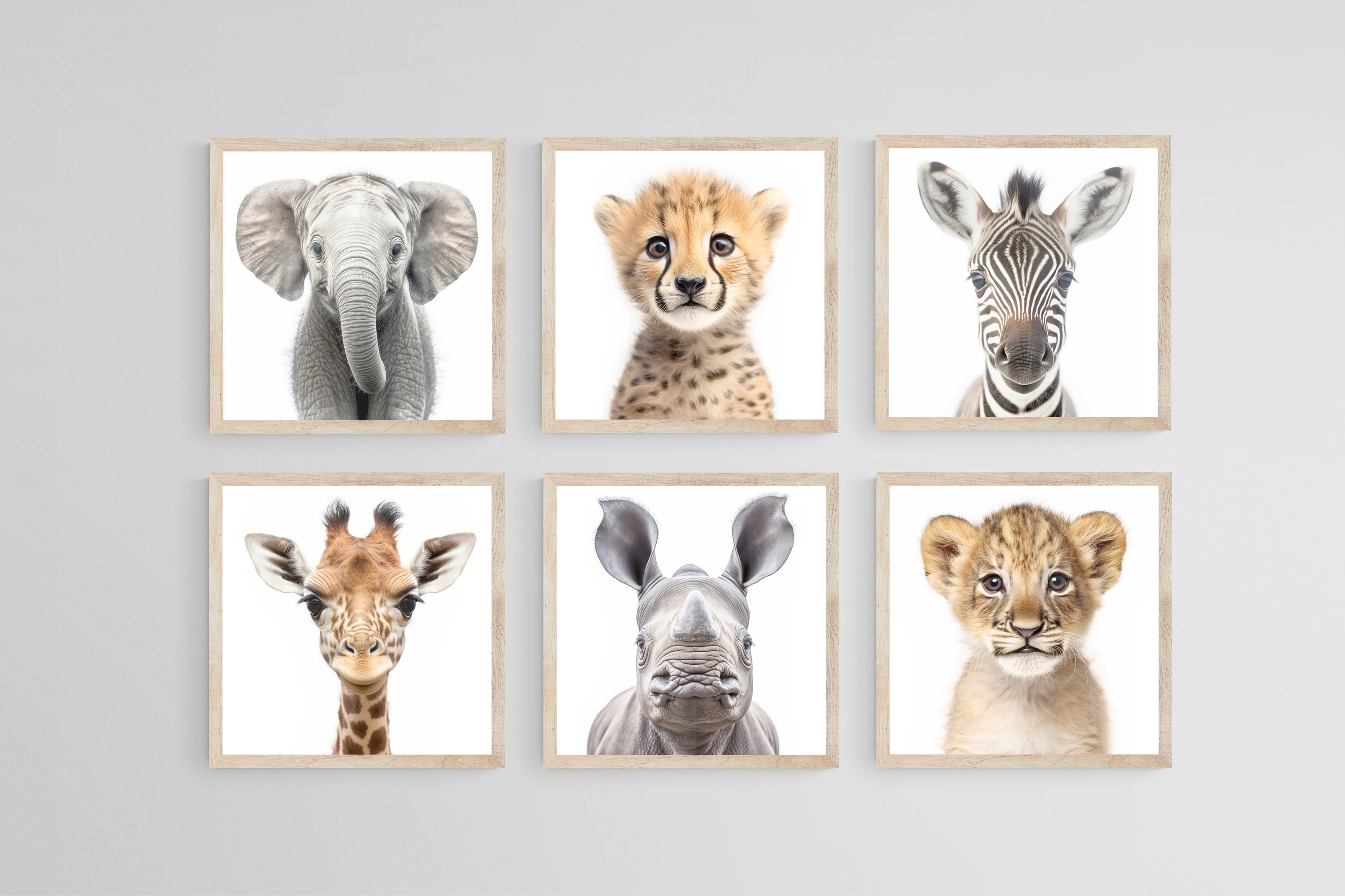 Baby Animals Set-Wall_Art-30 x 30cm (x6)-Mounted Canvas-Wood-Pixalot