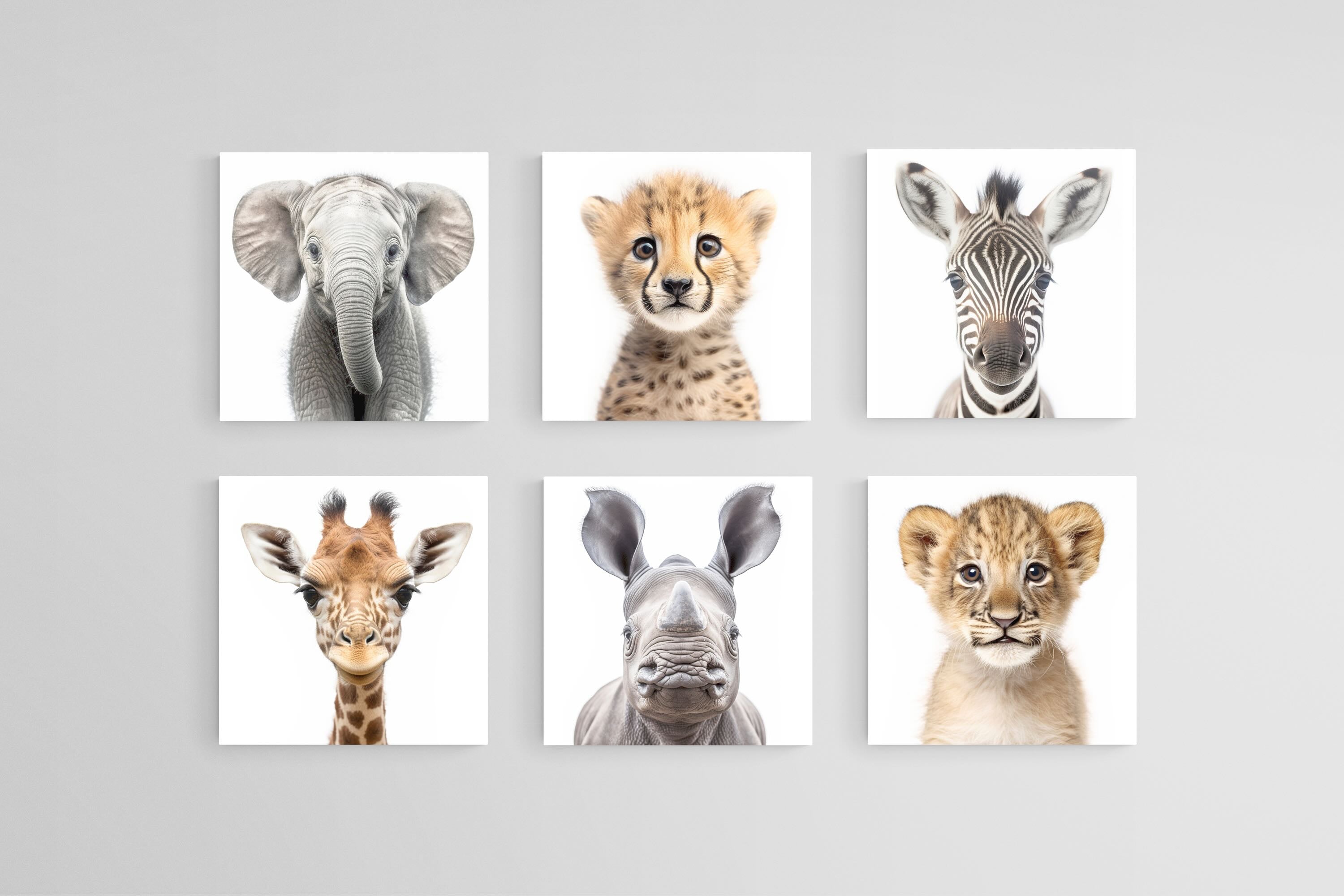 Baby Animals Set-Wall_Art-30 x 30cm (x6)-Mounted Canvas-No Frame-Pixalot