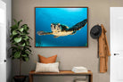 Pixalot ® Baby Turtle